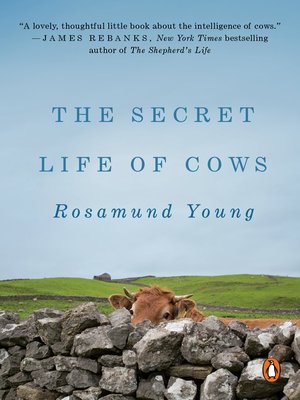 cover image of The Secret Life of Cows